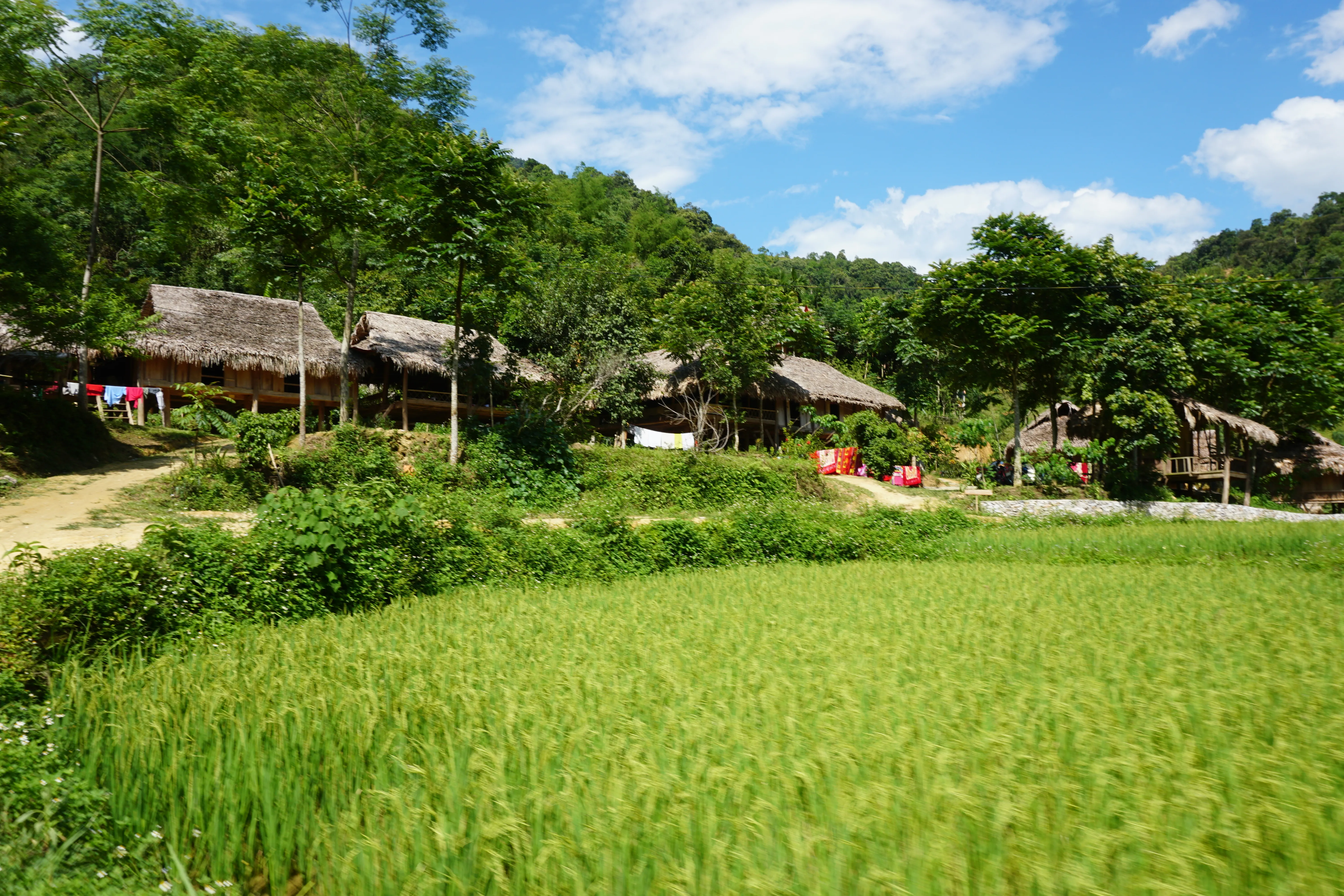 Northern Vietnam Cycling Tour 9 Days